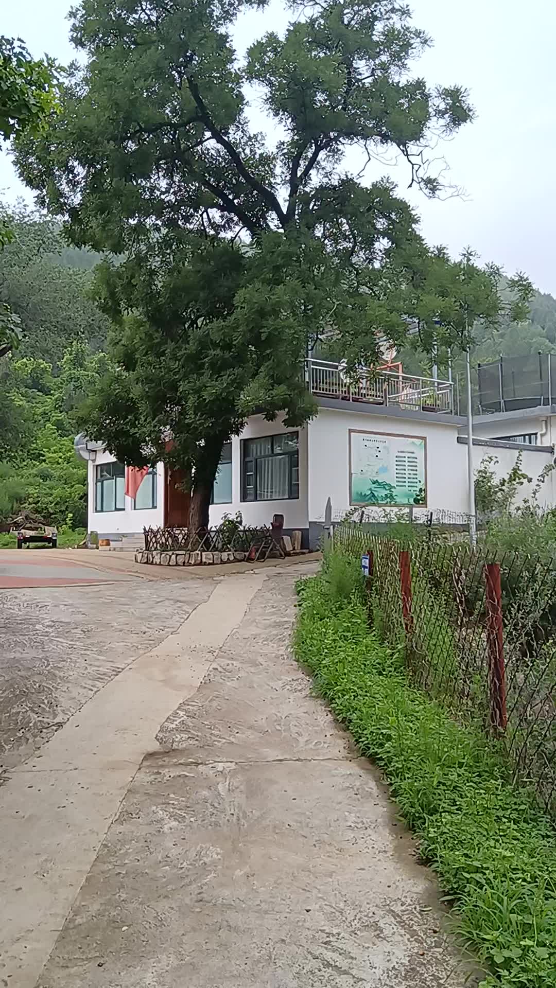 天津青莲居民宿