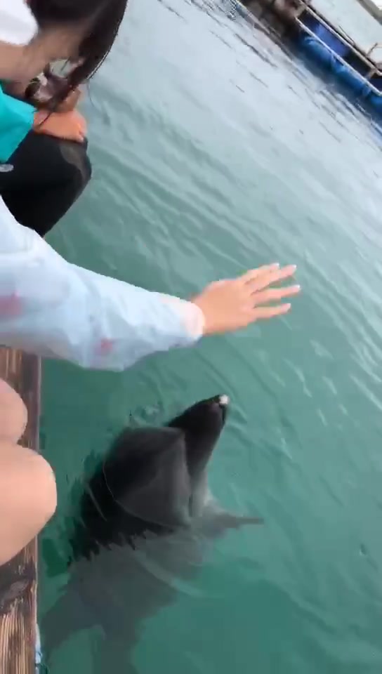 Wingringwingの4天3夜快閃日本沖繩石垣島 石垣游记攻略 携程攻略 Wingringwingの4天3夜快閃日本沖繩石垣島 石垣游记攻略 携程攻略